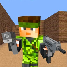 Activities of Pixel Block Gun 3D