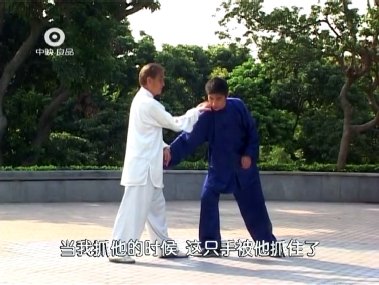 陈式太极83式