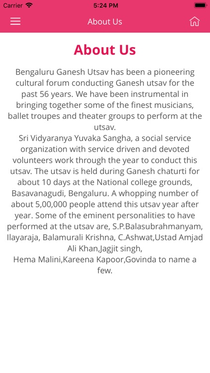 Bengaluru Ganesh Utsava screenshot-4