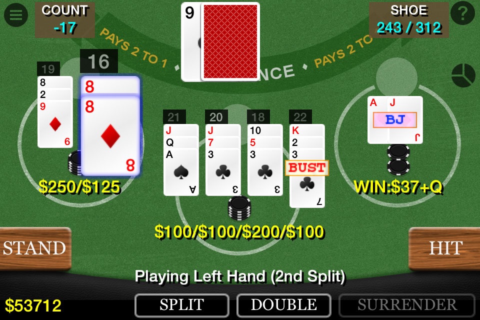 Blackjack 21 Pro Multi-Hand screenshot 2