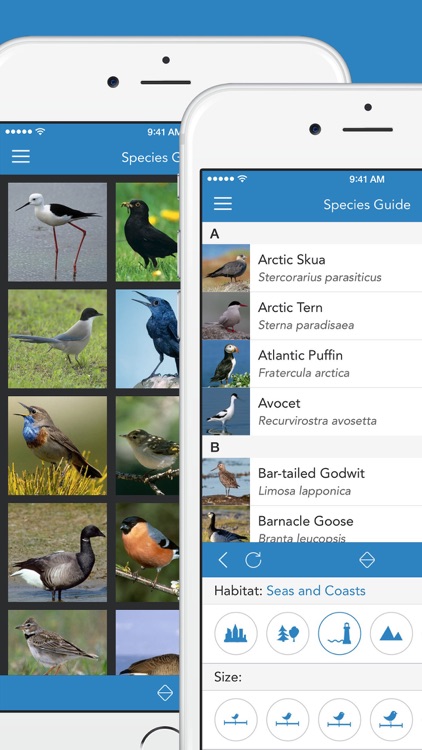 iKnow Birds 2 LITE