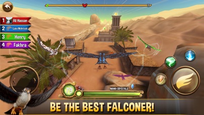 Falcon Valley Battle screenshot 2