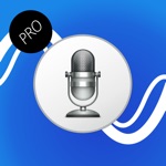 Voice Translator Professional