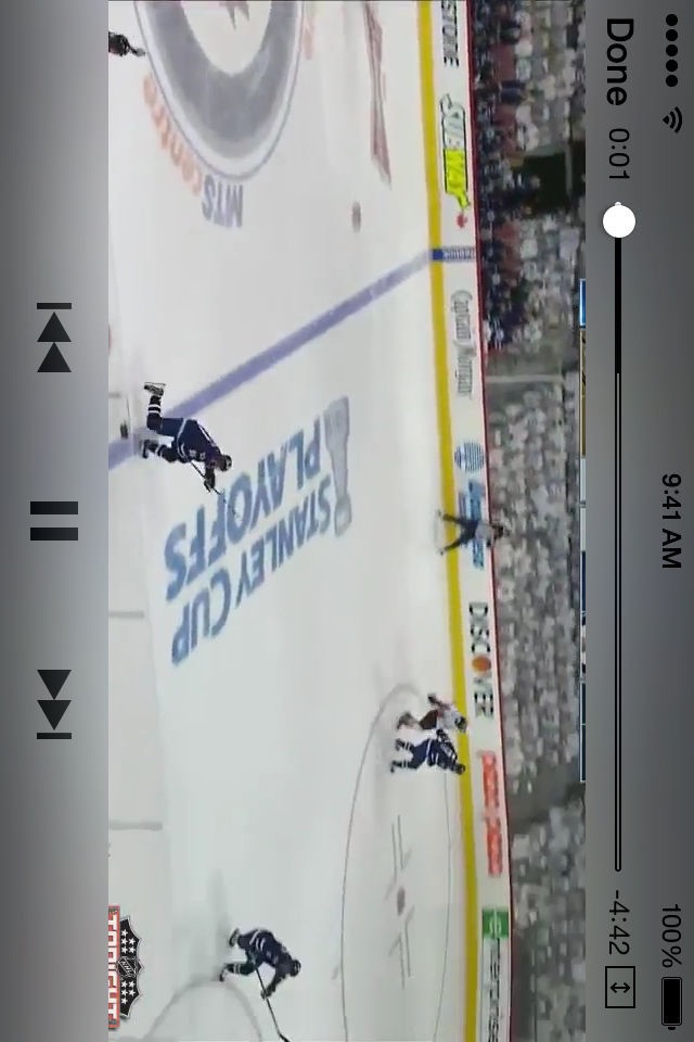 Hockey Playoffs screenshot 4