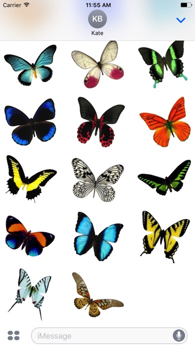 Real Butterfly Stickers screenshot 2