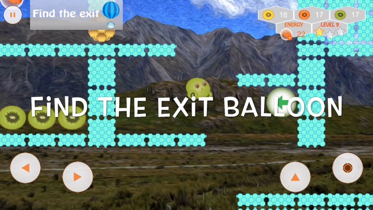 Kiwi Hobo Run screenshot-3
