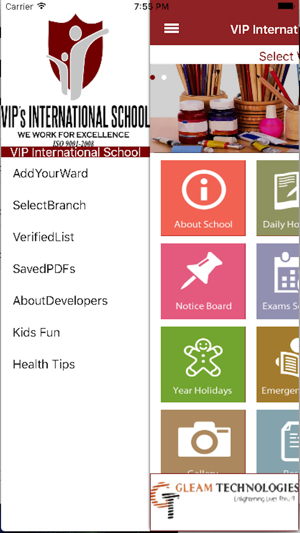 VIP International School