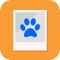 Pawtrait is a creative place pet lovers can interact with their pets and share with their friends