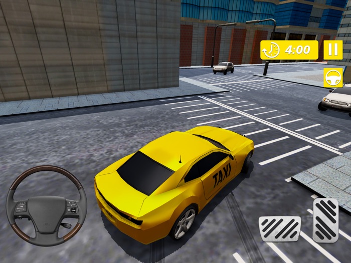 Real Taxi Cab Driver City