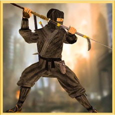 Activities of Ninja Assassin Fighter 3D