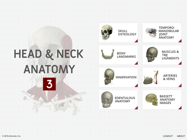 Head and Neck Anatomy 3(圖1)-速報App