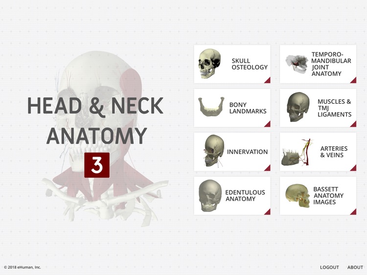 Head and Neck Anatomy 3