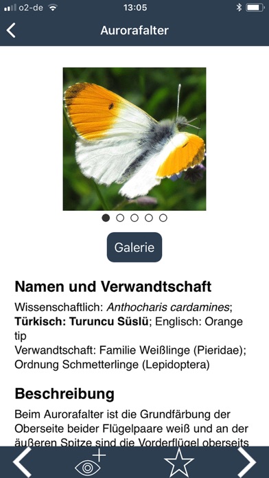 How to cancel & delete Zeit der Schmetterlinge from iphone & ipad 3