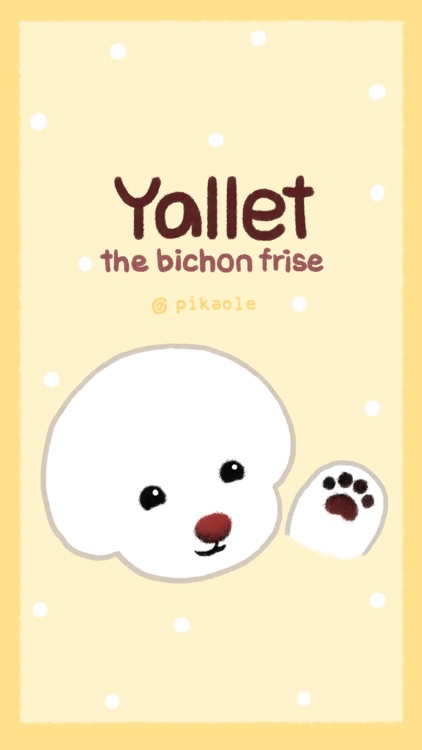 Yallet the bichon (taster)