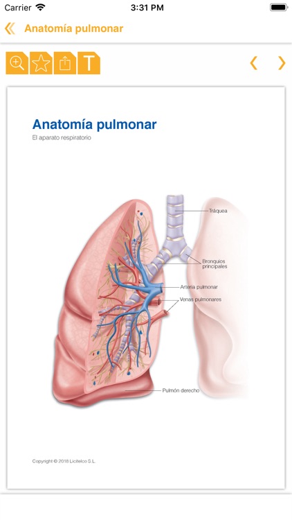 Miniatlas Anatomía - AP screenshot-3