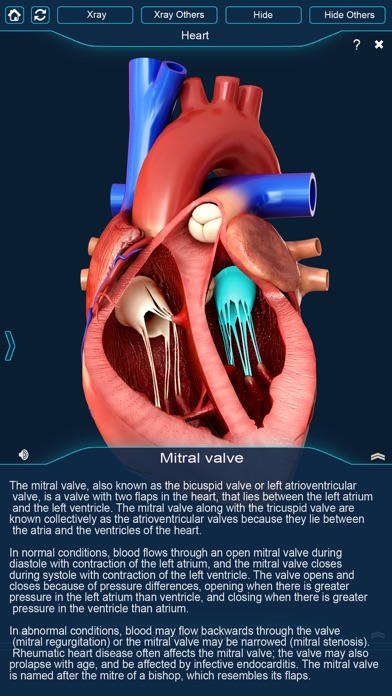 My Heart Anatomy screenshot 3