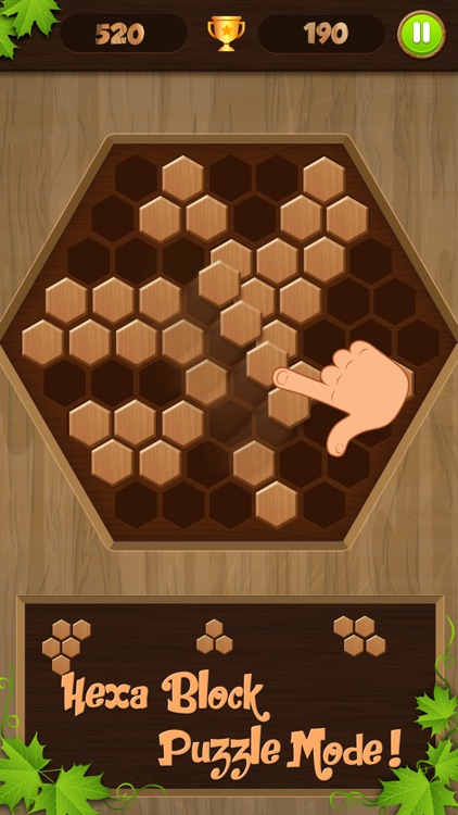 Wooden Puzzle Block Jigsaw
