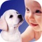 Zoola lets your children see animals as a family