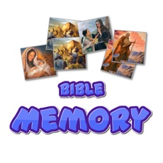 Activities of Bible Card Memory