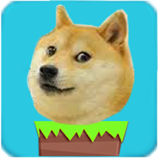 Activities of Doge JumpUp