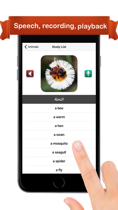 essay for free download apk instagram