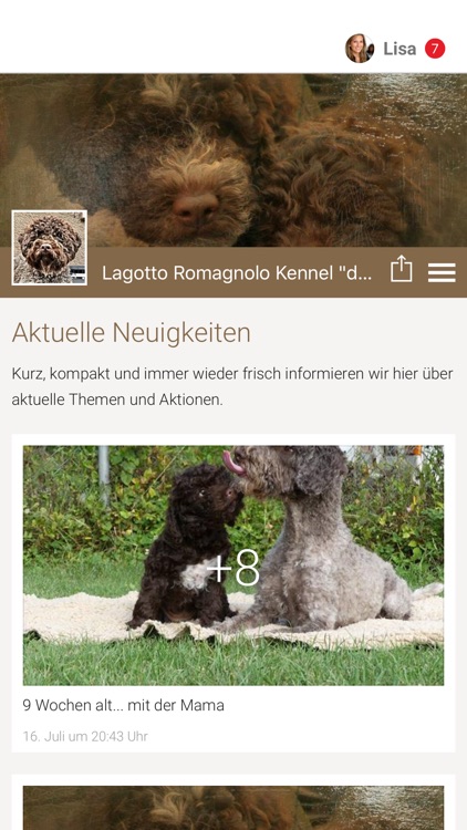 Lagotto Romagnolo Kennel