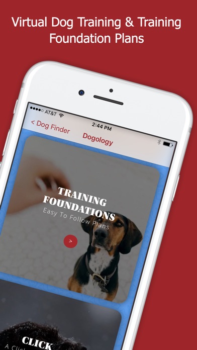 Dogology Virtual Dog Training screenshot 2