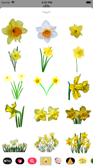 Daffodil Sticker Pack