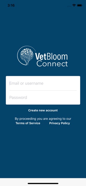 VetBloom Teams