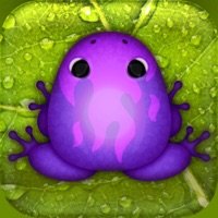 Pocket Frogs Reviews