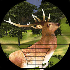 Activities of Jungle Deer Hunter 2017