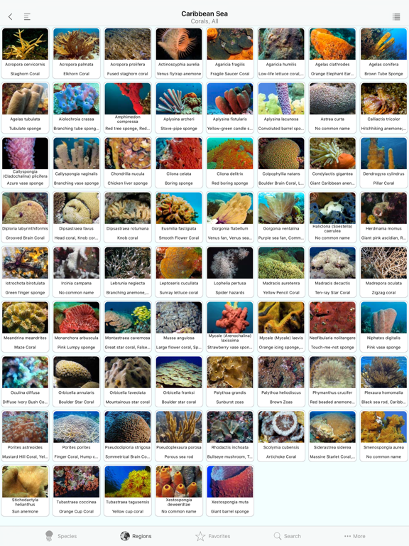 Corals, by Reef Life screenshot 4