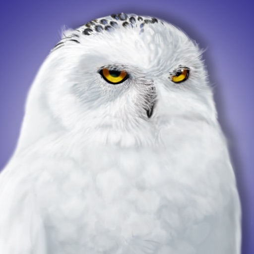 iBird Canada Guide to Birds iOS App