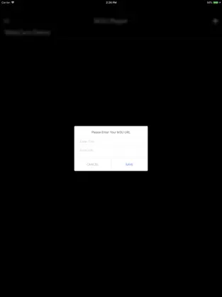 Captura de Pantalla 5 m3u playlist player iphone