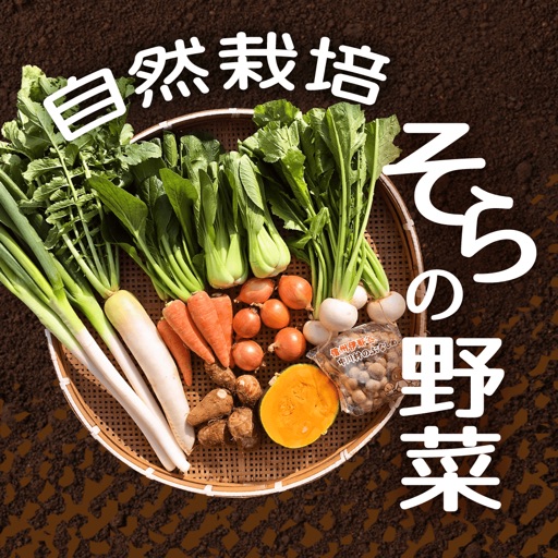 自然栽培＆旬の野菜宅配なら無農薬野菜の通販【そらの野菜】へ！