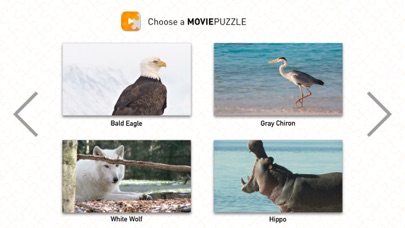 MoviePuzzles – Wild Animals screenshot 2
