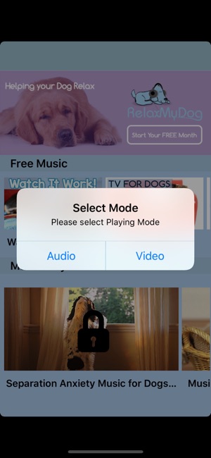 RelaxMyDog - Relaxing Music TV(圖2)-速報App
