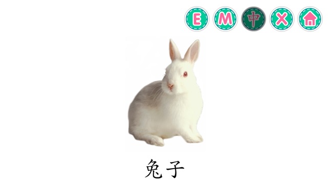 Picture Dictionary - Animals(圖4)-速報App