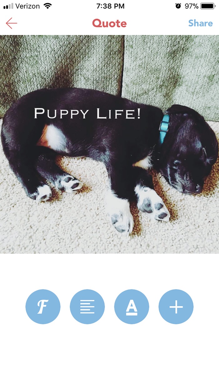 Mood Camera - Text On Photos