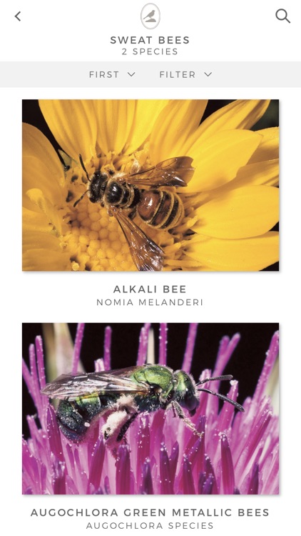 Fieldstone Guide: Insects