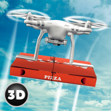 Activities of RC Drone Pizza Delivery Flight Simulator