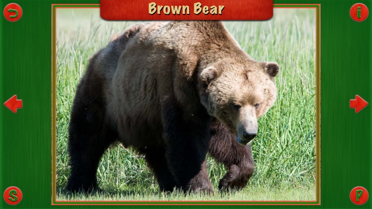 Animal World Pro For Fun