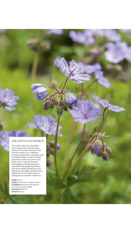 Gardens Illustrated