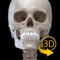 In-app purchases to unlock all body regions (Full Version)