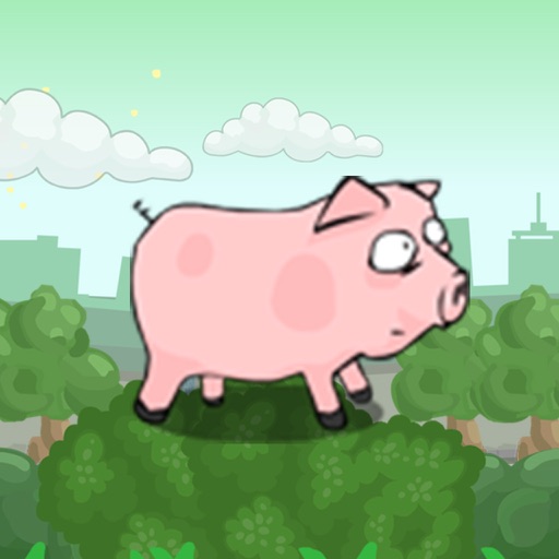 Pork Dead Belly iOS App