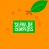 Safra de Campeões