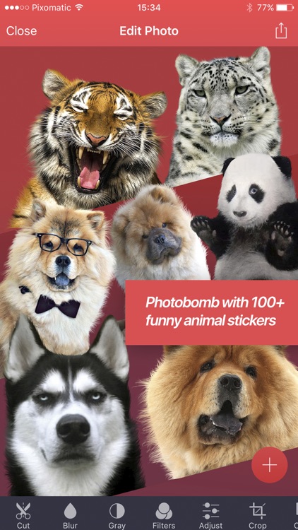 Pixomatic photo editor