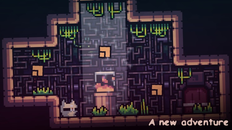 Reed 2 screenshot-0