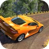 Driving Car: Speedy City