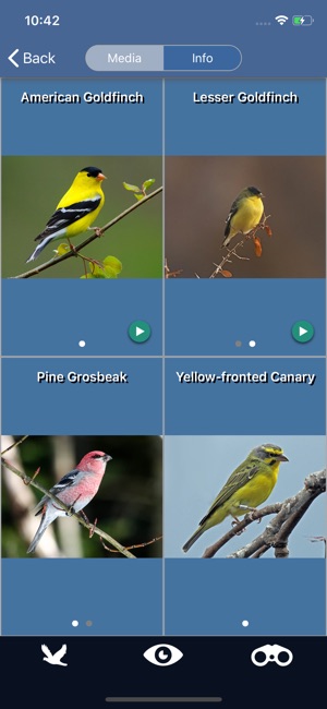 Bird Id USA backyard birds(圖8)-速報App